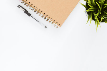 Pen, notebook and houseplant on white table with space for text, flat lay. Business and educationの写真素材