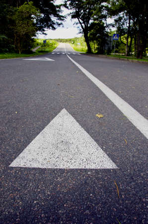 asphalt road in the resort and white lineの写真素材
