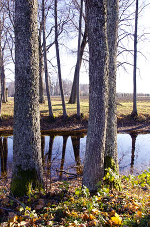 autumn in the old manor park and pondの写真素材