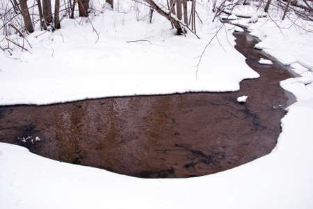 landscape with winter stream in the forestの写真素材