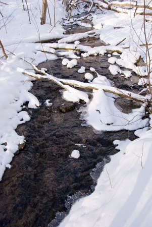 winter little and beautiful river in the forestの写真素材