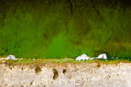 green pond water with algae background and textureの写真素材