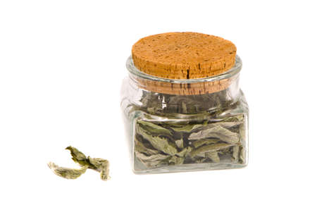 isolated on white glass jar with mint herb teaの写真素材