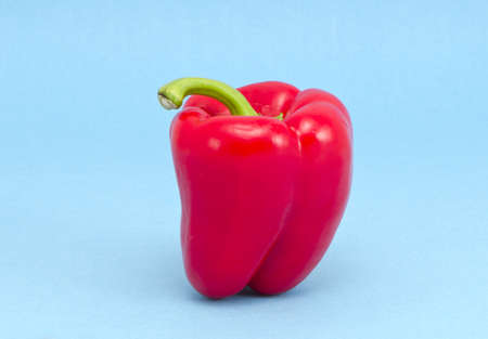 pne red pepper on azure backgroundの写真素材