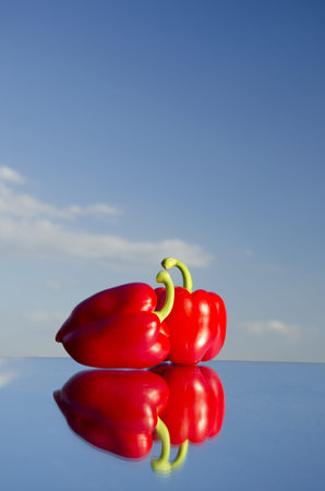 two red peppers on mirror and blue skyの写真素材