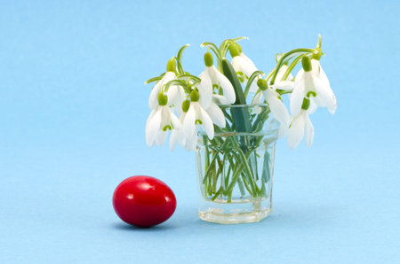 spring snowdrops in the glass and easter egg