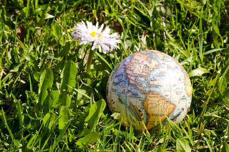 earth globe on spring grass and flowerの写真素材