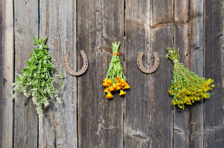 medical herb bunch on wooden old house wallの写真素材