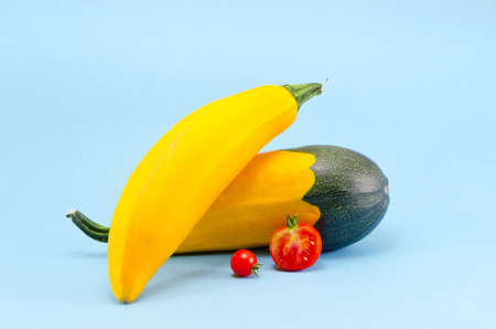 fresh yellow zucchini and red tomato on azure backgroundの写真素材