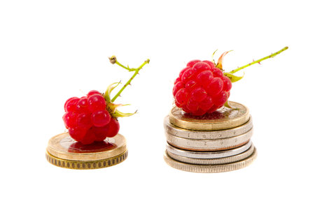 isolated on white background  two raspberry on euro coins