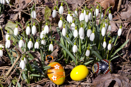 early spring snowdrops and cristmas eggs