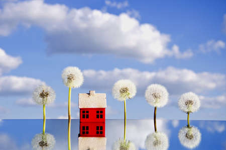 concept with house symbol on mirror and dandelion seedsの写真素材