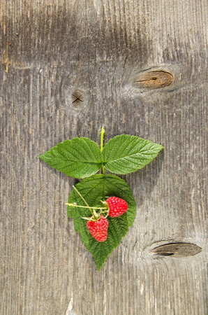 raspberry leaf and two red berry on wooden background