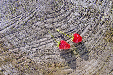 two red fresh raspberry on wooden background