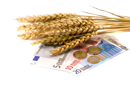 wheat ears and euro money isolated on white