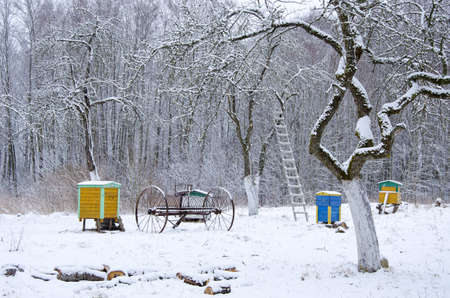 winter time snow in old rural gardenの写真素材
