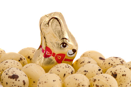 easter eggs and chocolate rabbit isolated on white background