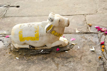 sacred cow marble statue in Varanasi temple, Indiaの写真素材