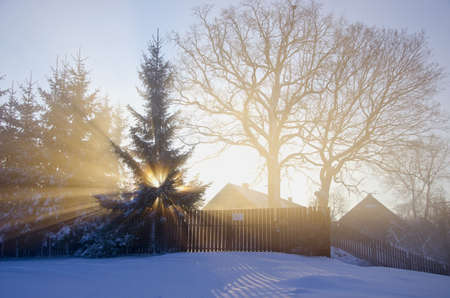 beautiful winter morning in village with sun and fogの写真素材