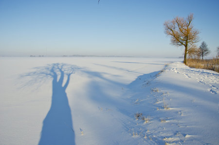 beautiful winter landscape with tree shadow and morning fogの写真素材