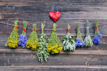 various medical herbs beautiful fresh bunch on old wooden farm wall and red heart symbolの写真素材