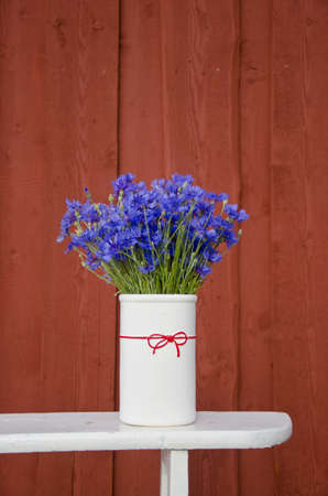 blue beautiful summer cornflower bouquet in white vaseの写真素材