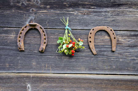 wild strawbbery bunch and two rusty horseshoe on old wooden farm house wallの写真素材