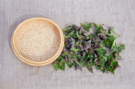 fresh spring medical neetle herb for salad on linen cloth and wooden plateの写真素材