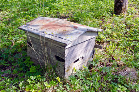 old weathered wooden bee hive in spring gardenの写真素材