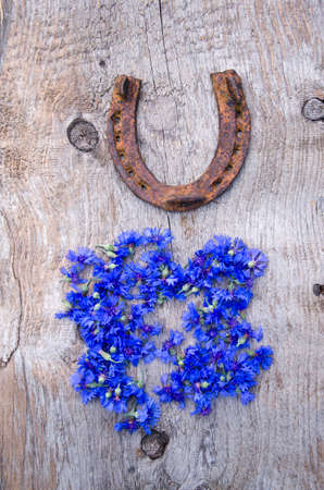 old horseshoe and fresh blue cornflower blossoms on old wooden backgroundの写真素材