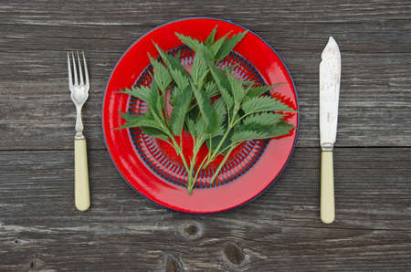freshh spring nettle herb for healthy ecological food in red plateの写真素材