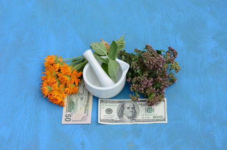 herbal medicine and money concept - health is money. White mortar, usa dollars banknote and various medical herbsの写真素材