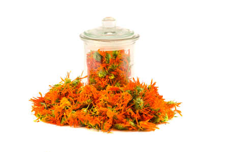 Dried calendula  marigold medical herbs flowers and glass jar isolated on white bacgroundの写真素材