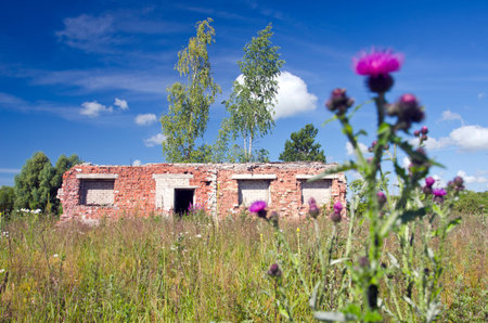 summer time landscape  with old abandoned farm ruins