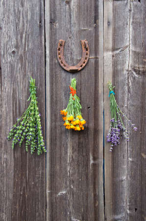 fresh medical herbs lavender, marigold (calendula) and hyssop (Hyssopus officinalis) on old wooden farm barn wallの写真素材