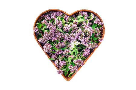 wild marjoram oregano medical and spices flowers in heart form wicker basket. Isolated on white health symbolの写真素材
