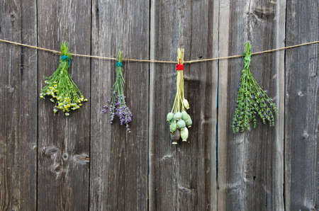 medical herbs flowers bunch and poppy heads on old wooden wallの写真素材