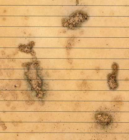 old grunge dirty index catalog paper card with line background and textureの写真素材