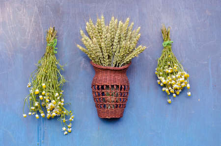 two chamomile medical flower bunch and wheats in wicker basket  on blue wooden wallの写真素材