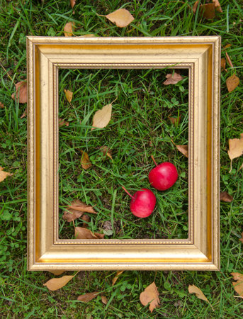 autumn still-life with apples and golden picture frame on garden grassの写真素材