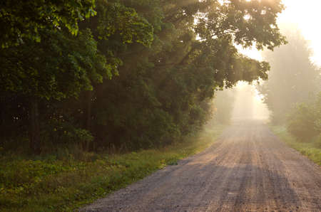 empty rural gravel road and autumn time morning mistの写真素材