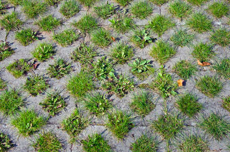 concrete  and grass pavement architecture backgroundの写真素材