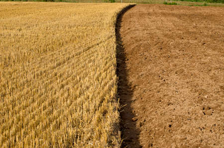 straw stubble and cultivated earth soil on autumn farm fieldの写真素材