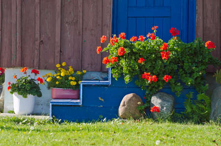 beautiful flowers near summer house doorの写真素材