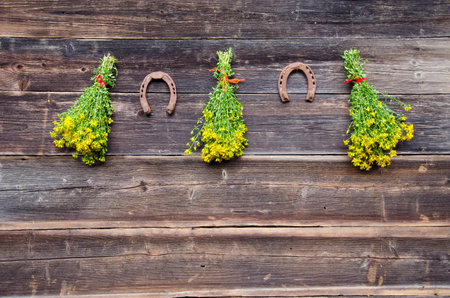 three medical St. johns wort flowers bunch and two rusty horseshoe on wallの写真素材