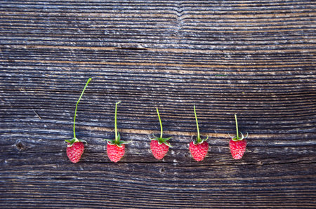 fresh healthy raspberry berry fruit on old wooden plank backgroundの写真素材