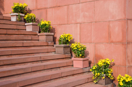 red stone staircase with flowers in flowerpots, India