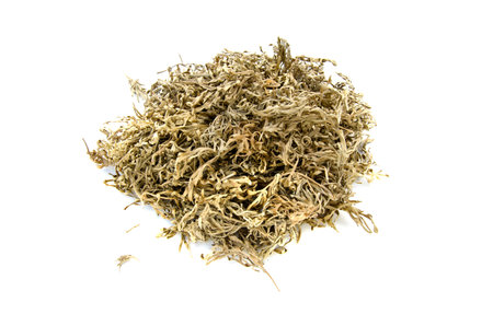 dry dried sagebrush absinthe wormwood medical herbs isolated on white background
