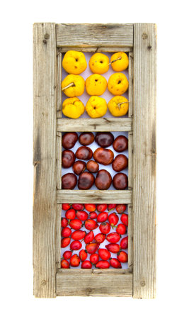 healthy fruits and conkers in old wooden window frame isolated on whiteの写真素材