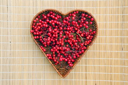 fresh viburnum red healthy medical berry in wicker heart form basket on table